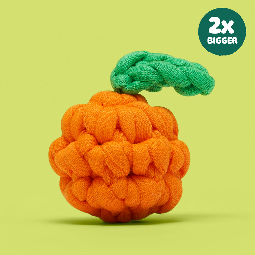 Extra Extra Squeeze All About It Bundle